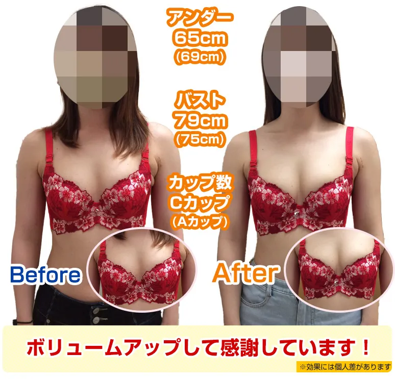 バストアップビフォーアフター