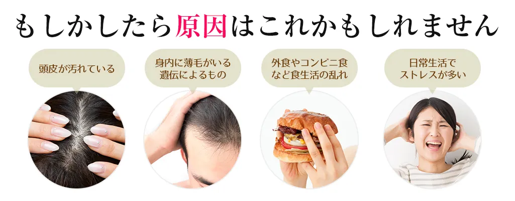 薄毛の原因